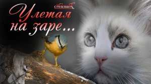 👧 СТИШОК «Улетая на заре» ~ СЛАЙДЫ 🐣ДЕТСКАЯ РУБРИКА