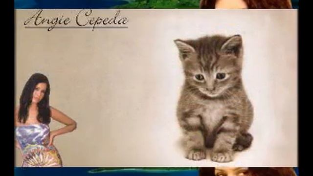 Angie Cepeda SlideShow смотреть онлайн