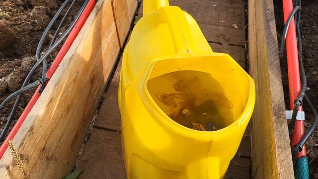 ПОДГОТОВКА ТЕПЛИЦЫ К ЗИМЕ ОТ А ДО Я! смотреть онлайн