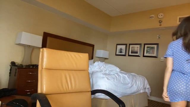 Pokimane See Through Dress