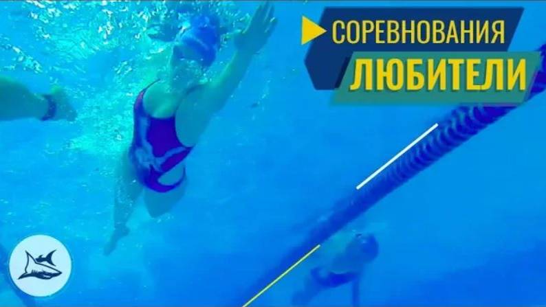 Silver Swim Cup vol.6 Соревнования по плаванию для взрослых. Плавание в Москве смотреть онлайн