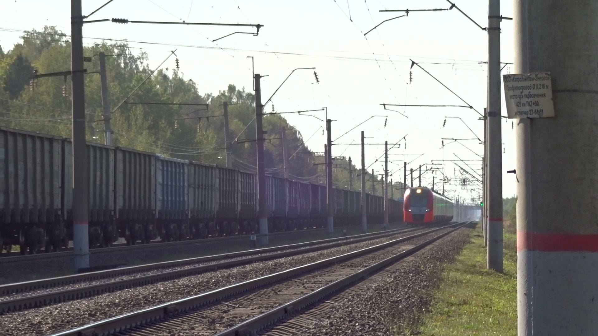 Электропоезд ЭС1-029+022 на перегоне Игумново - Доскино смотреть онлайн