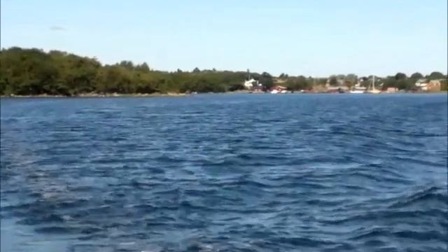 ''I wanna be free'' ~ The Monkeys ~ Davey Jones смотреть онлайн