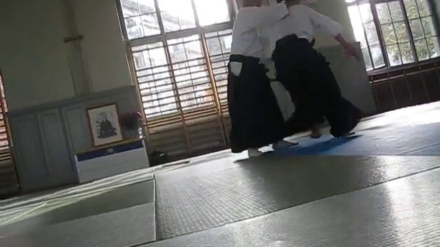 29 Gyaku-Hanmi Ura Iriminage (Ken-tai-Ken)