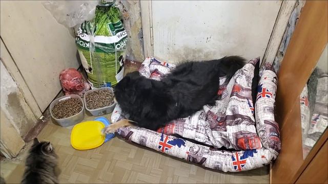 Марта принимает подарки! смотреть онлайн