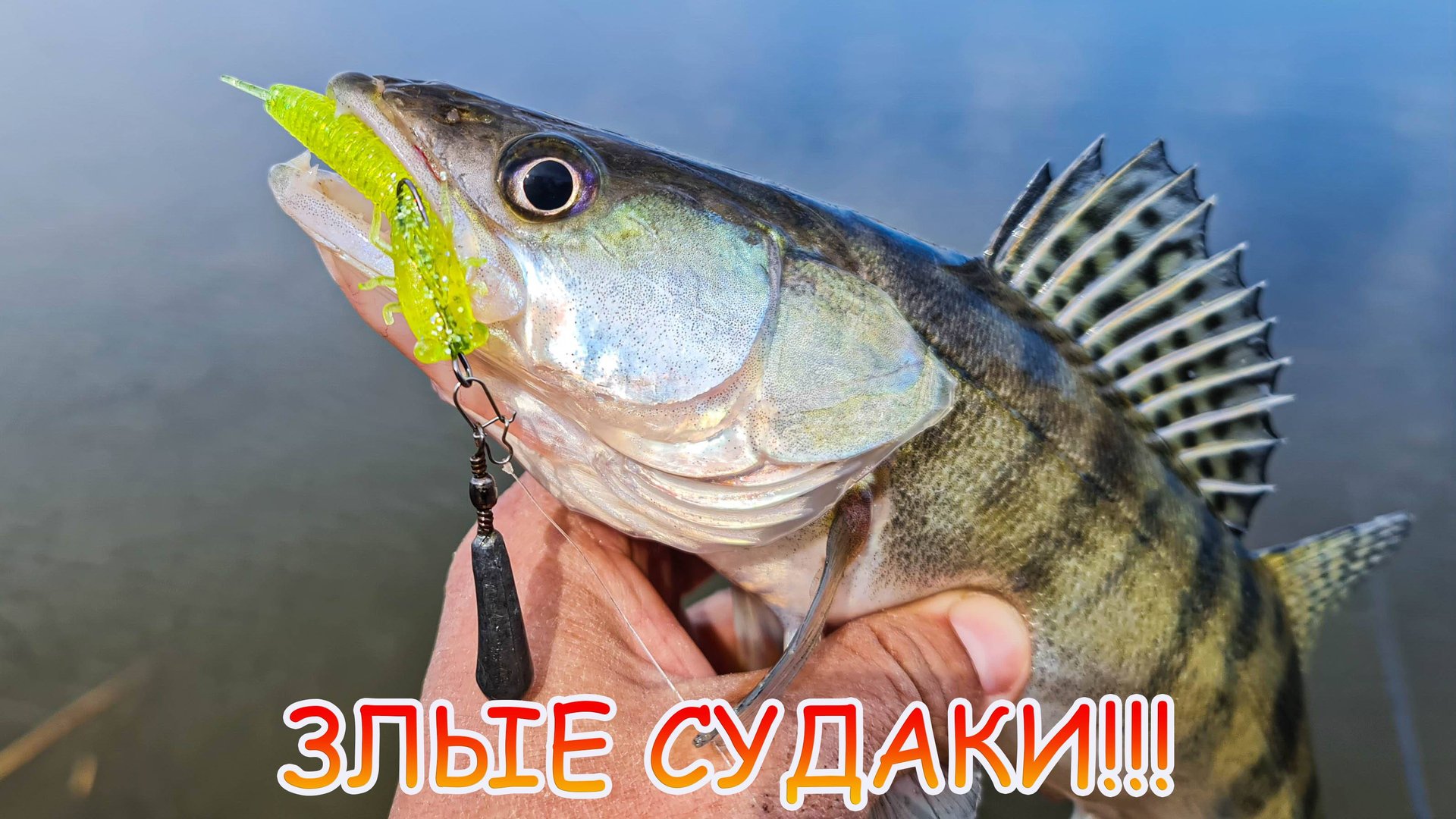 Злые судаки на джиг! Половили хищника, карасей и сазана!!! смотреть онлайн