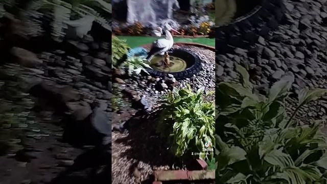 1002996272.mp4 смотреть онлайн