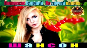 ПАЛАУСКАС ВАЛЕРИЙ. НЕ СКУЧАЙ КАЛИНА.