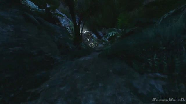 беги форест беги FarCry3