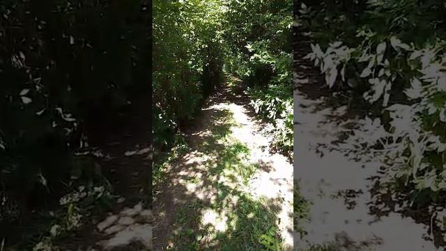 green path смотреть онлайн