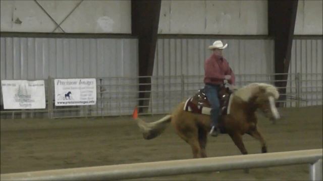 WRHA Spring Fling 2012~ Nu Steps To Cash смотреть онлайн