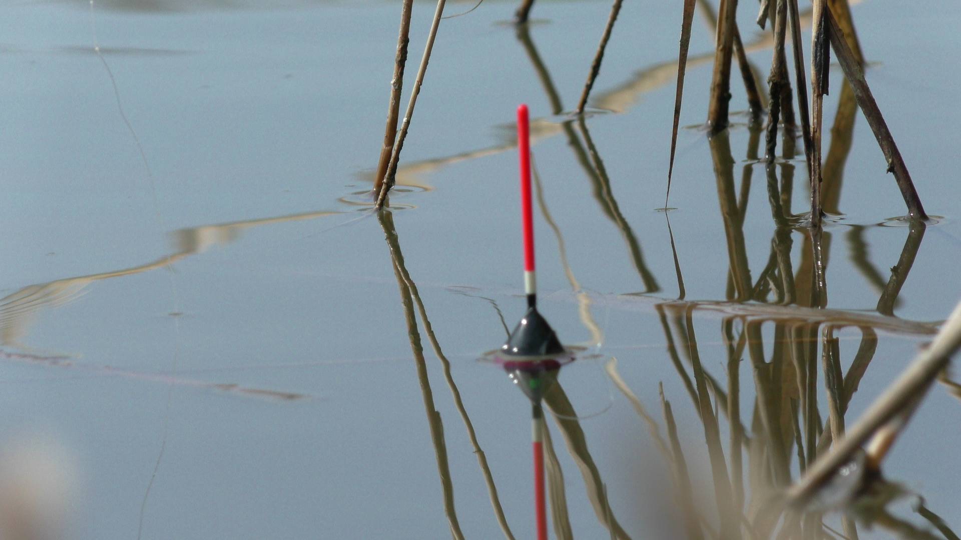 Рыбалка. Карась дуреет в камышах. Рыбалка на поплавок смотреть онлайн