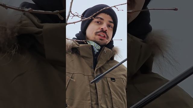 Что ТОЧНО НЕОБХОДИМО Докупить при Покупке АРБАЛЕТА? смотреть онлайн