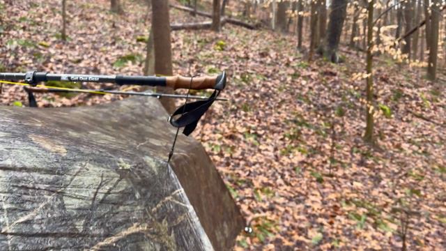 Backpacking Scenic River Trail - Wayne National Forest, OH смотреть онлайн