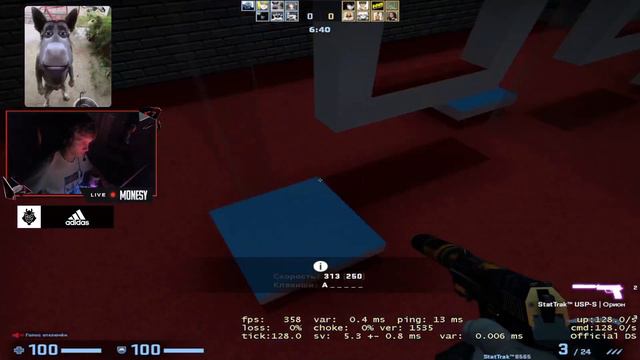 MONESY TRAINING MOVEMENT (CS:GO)