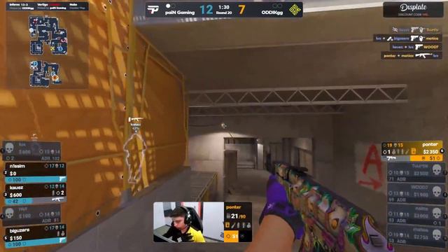 Brazil Team paiN Gaming CELEBRATING they go the CS2 PGL Copenhagen Major 2024 смотреть онлайн