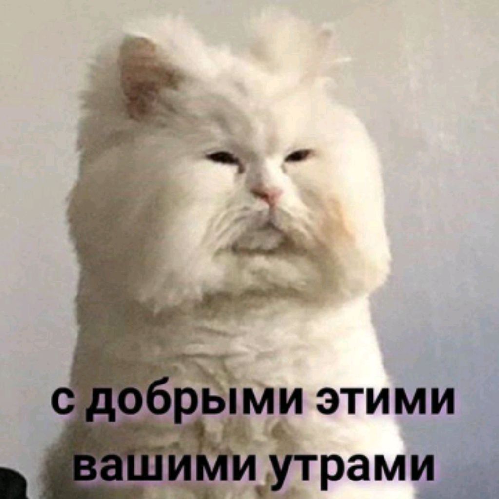 пр смотреть онлайн