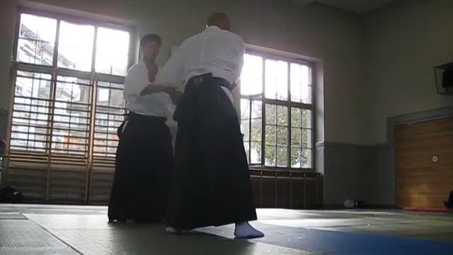 28 Gyaku-Hanmi Omote Iriminage (3)