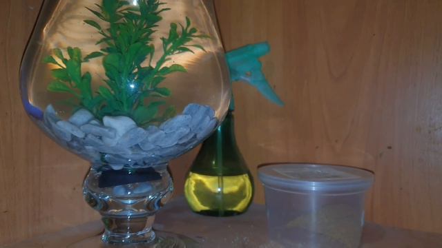 А у нас временный гость смотреть онлайн