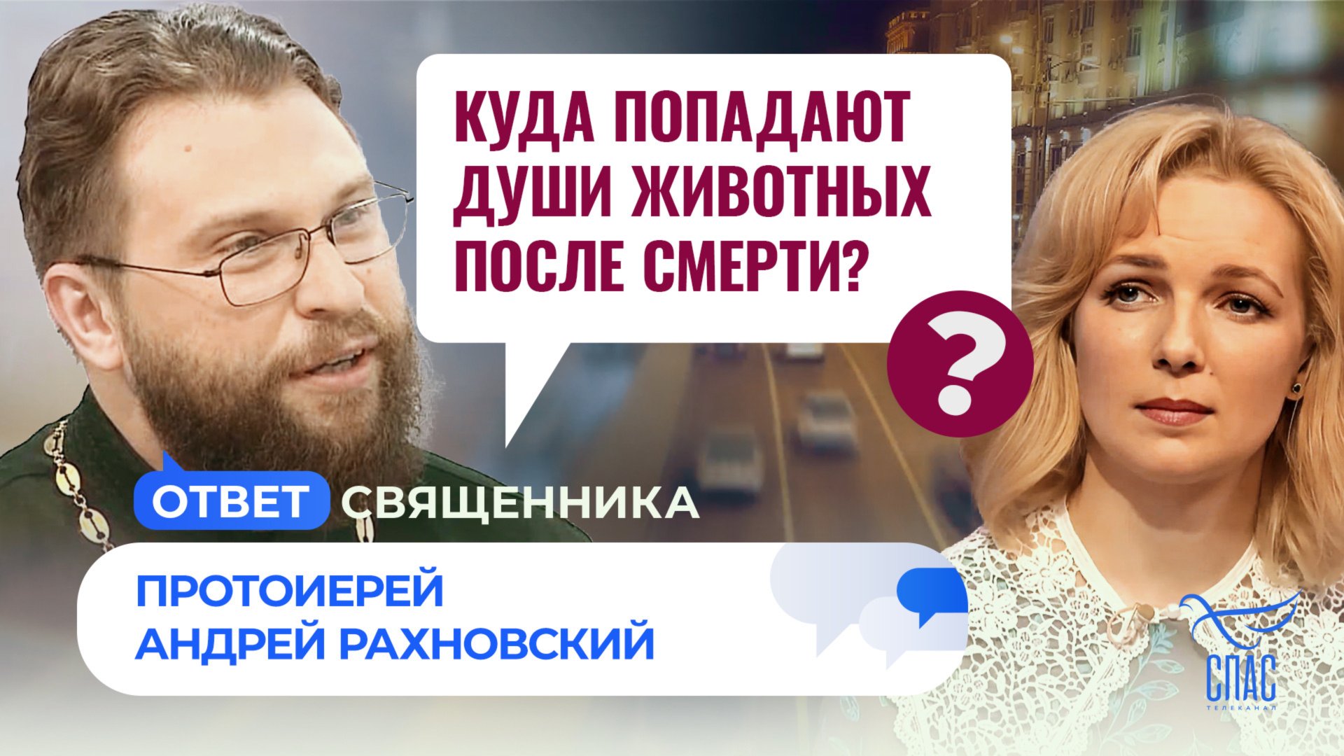 КУДА ПОПАДАЮТ ДУШИ ЖИВОТНЫХ ПОСЛЕ СМЕРТИ? / ОТВЕТ СВЯЩЕННИКА смотреть онлайн