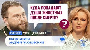 КУДА ПОПАДАЮТ ДУШИ ЖИВОТНЫХ ПОСЛЕ СМЕРТИ? / ОТВЕТ СВЯЩЕННИКА