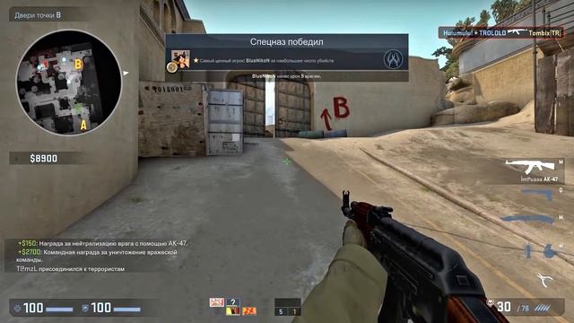 #13 Marmok CS GO