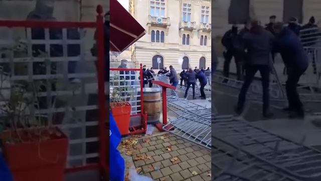 Фермеры Европы высказывают поддержку Украине, Шольцу и Макрону.