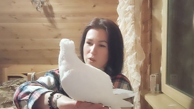 АНАСТАСИЯ. Сердце птичьего дома смотреть онлайн