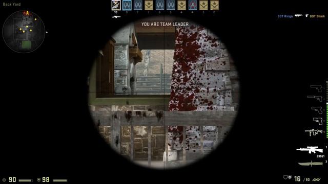 Training With Bots-CS:GO смотреть онлайн