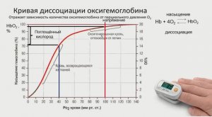 Транспорт газов кровью.