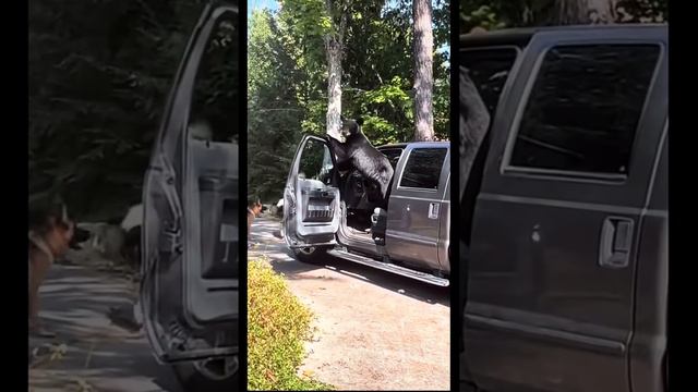 Теперь это его автомобиль смотреть онлайн