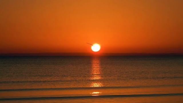 Шри Чинмой. Волшебная музыка флейты смотреть онлайн