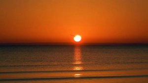 Шри Чинмой. Волшебная музыка флейты