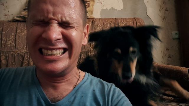 Голубь Райс и Компания