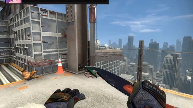 Gut Knife Gamma Doppler with Specialist Gloves Fade - CSGO glove/knife combo смотреть онлайн