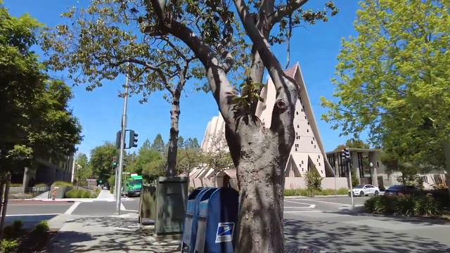 Прогулка по Пало Альто Калифорния смотреть онлайн