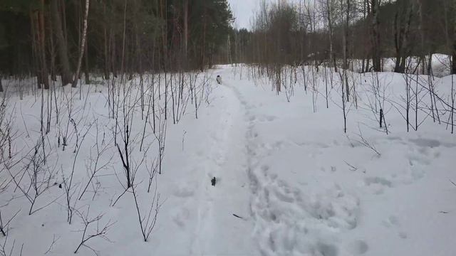 Прогулка с Мартой и Баксом смотреть онлайн