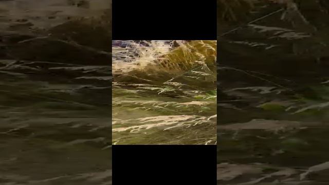 Минитрактор КМЗ-012 с мульчером Xator XFM-1200 смотреть онлайн