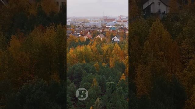 В ХМАО выпал первый снег. Когда придет настоящая зима смотреть онлайн