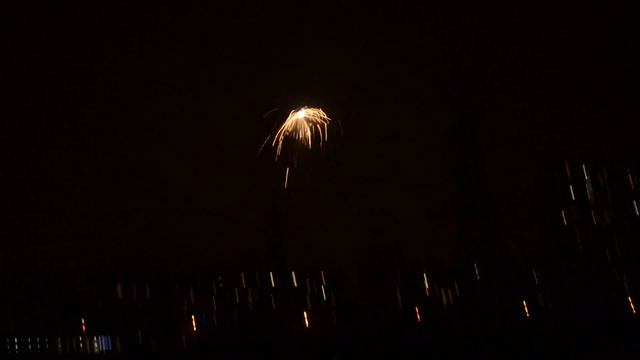 W506 ЛЕТАЮЩИЙ ЦВЕТОК смотреть онлайн