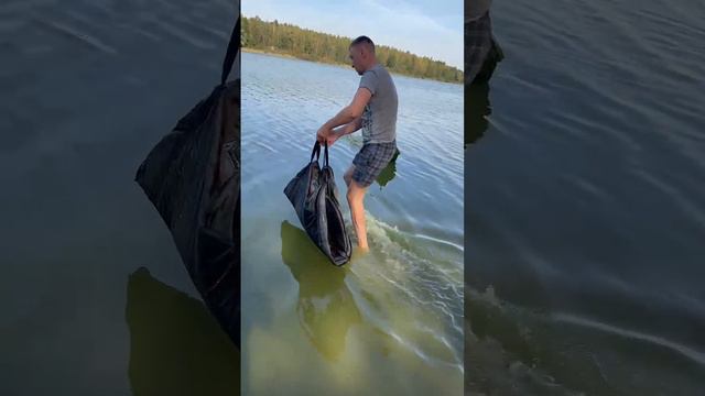 Огромный КАРП!!!