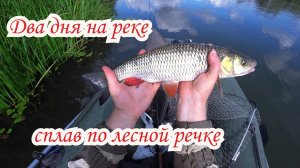 Рыбалка с ночевкой на реке Мокша. Сплав и ловля голавля на лесной речке