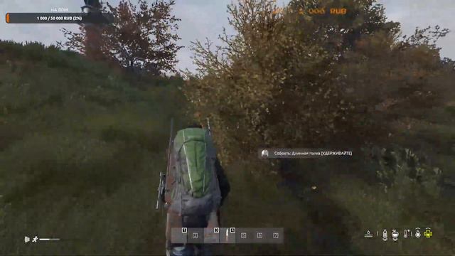 DAYZ STREAM ОФ СЕРВЕР смотреть онлайн