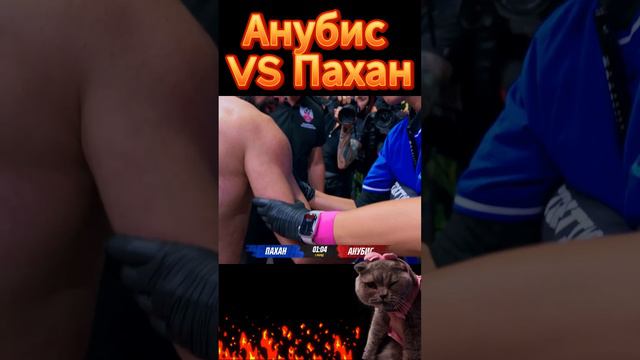 У Пахана вылетело плечо. смотреть онлайн