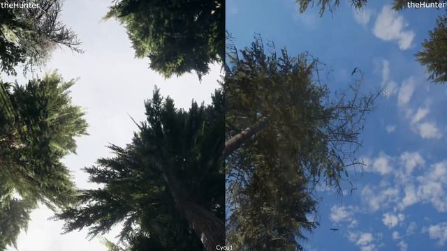 Far Cry 5 vs theHunter Call of the Wild Environment Comparison смотреть онлайн