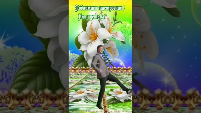 #На зарядку становись🧘🧘 смотреть онлайн