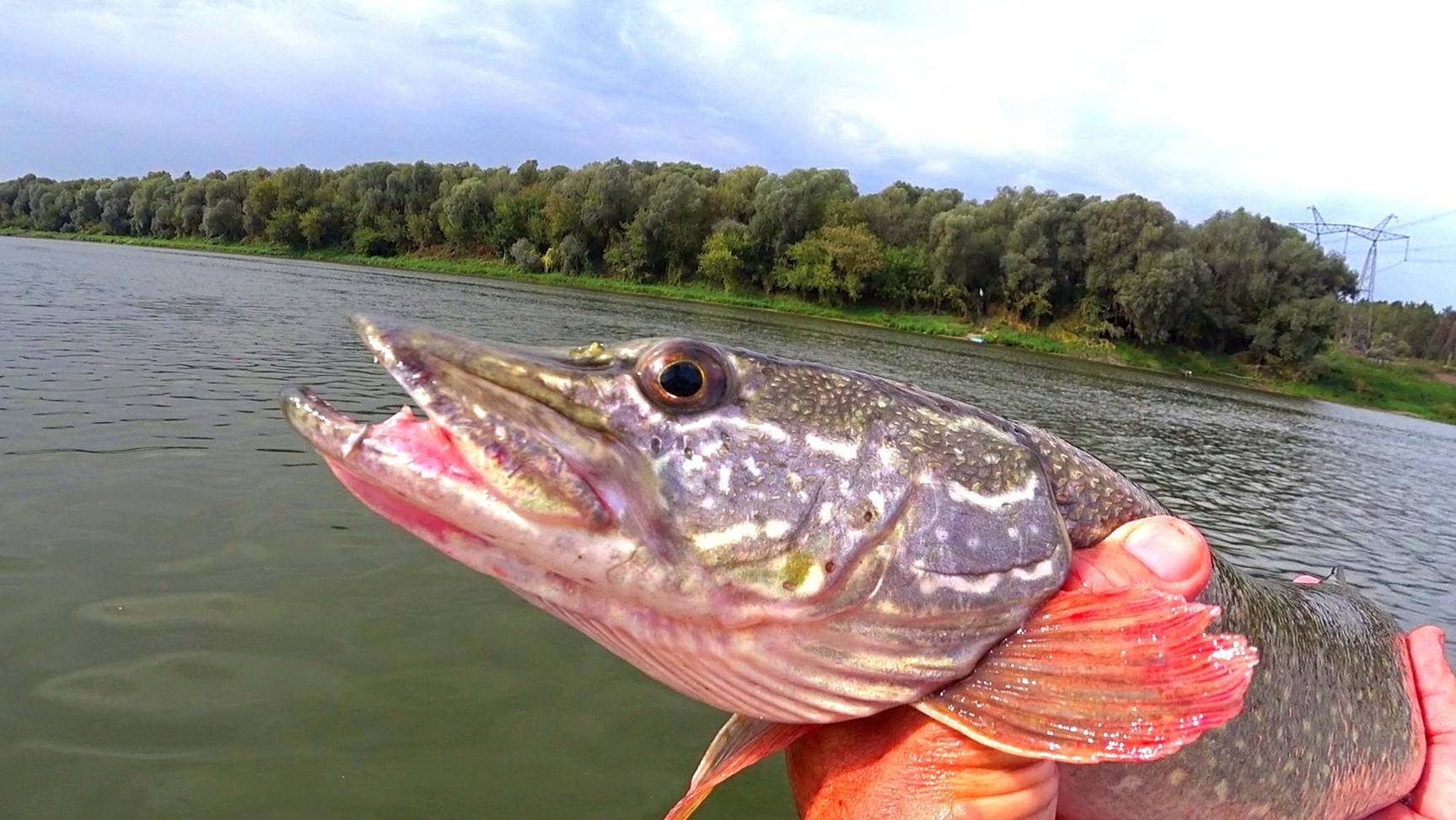 ОТПУСТИ МЕНЯ. смотреть онлайн