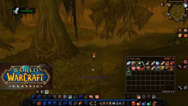 Testing Best Gold Grinding Spots in Classic WoW (Swamp of Sorrows Jaguars and Whelps) смотреть онлайн