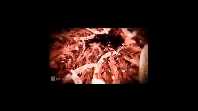 Crysis 2: prophet's journey смотреть онлайн