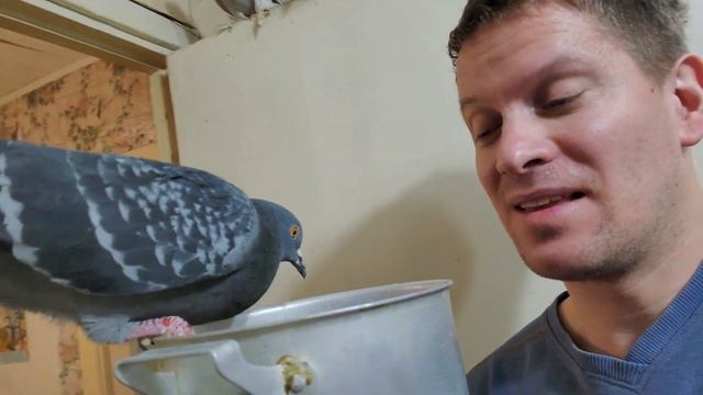 Кабачки облепили со всех сторон. Вот оно счастье! смотреть онлайн